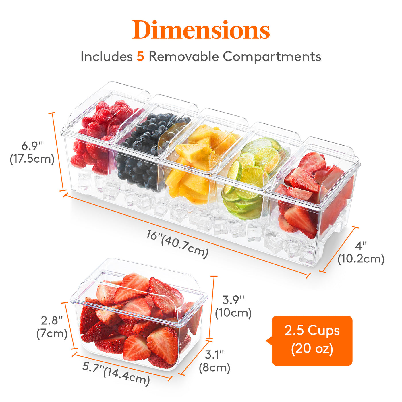 Condiments Container Big Chilled Condiment Box, Condiment Server with 5 Containers (2.5 Cups ...