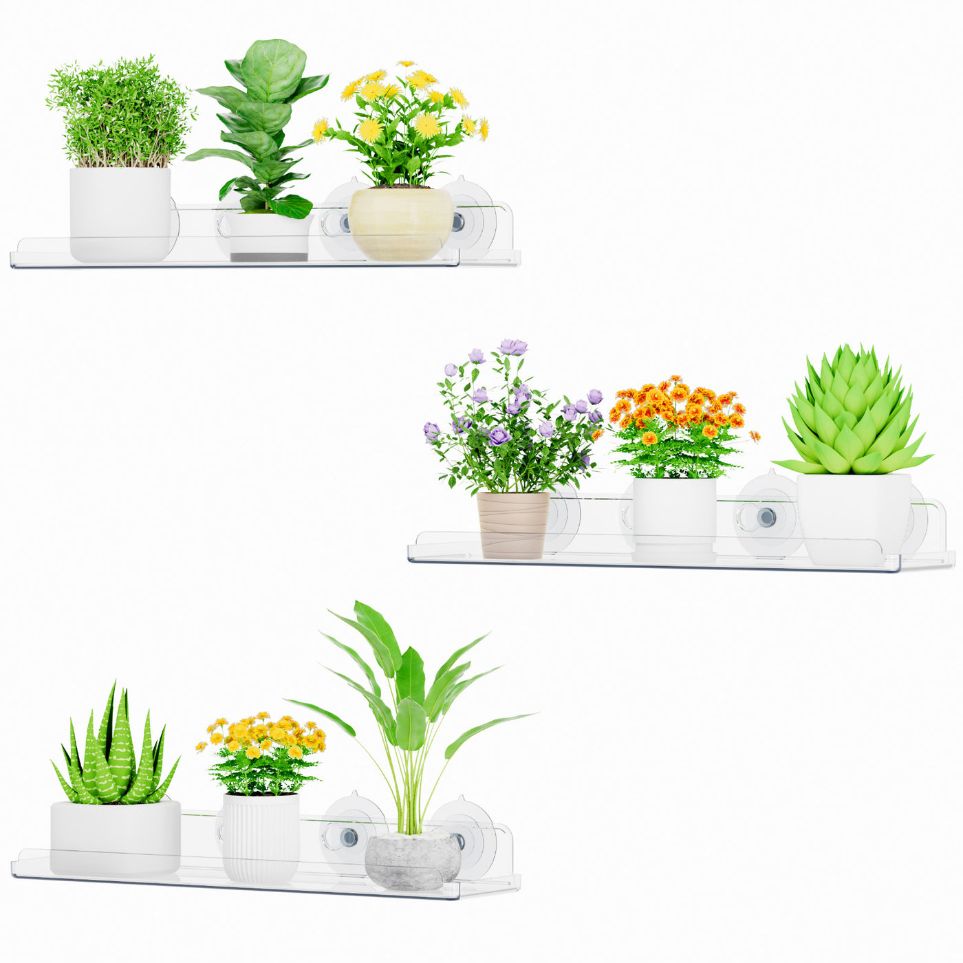 floating house plant Window Plant Floating Shelf 15 Inch