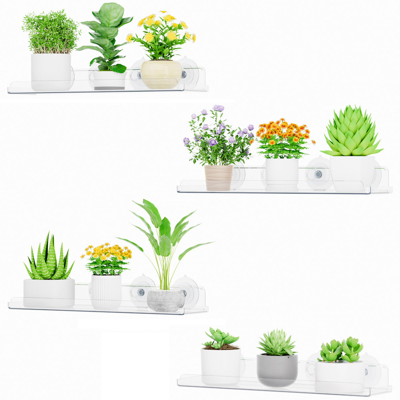floating shelves for indoor plants Window Plant Floating Shelf 15 Inch