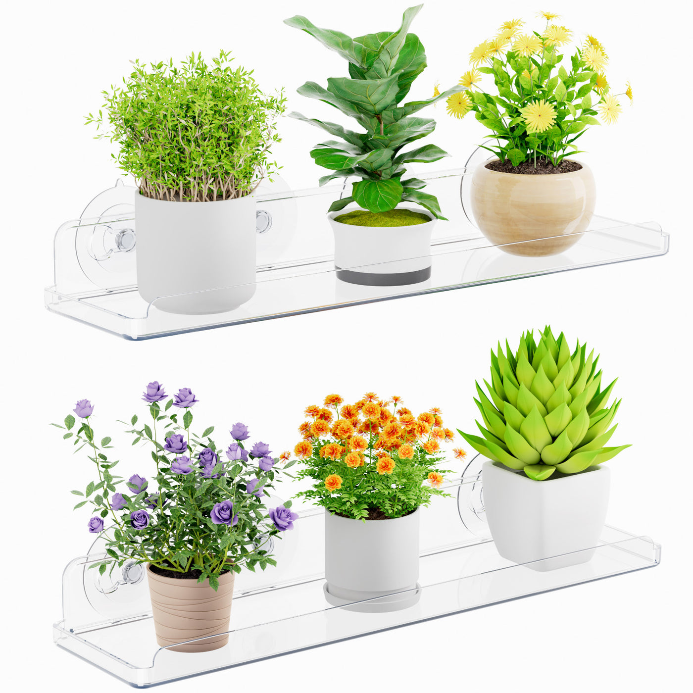 window shelf for plants indoor Window Plant Floating Shelf 15 Inch