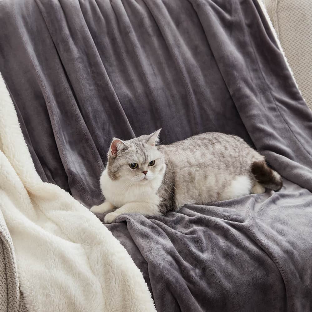 Fuzzy Plush Sherpa Throw PAVILIA Faux Fur Throw Blanket For